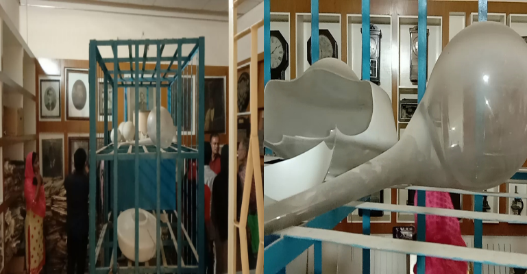 অবহেলার আস্তরণে হারাতে বসেছে রাজশাহী কলেজ জাদুঘরের ঐতিহ্যের অস্তিত্ব