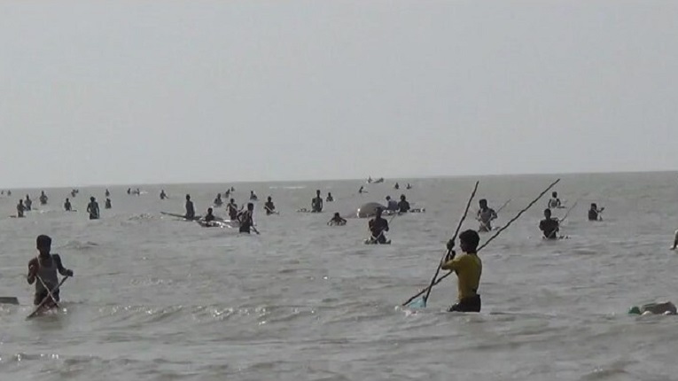 লক্ষ্মীপুরের মেঘনায় অবাধে চলছে চিংড়ির রেণু আহরণ