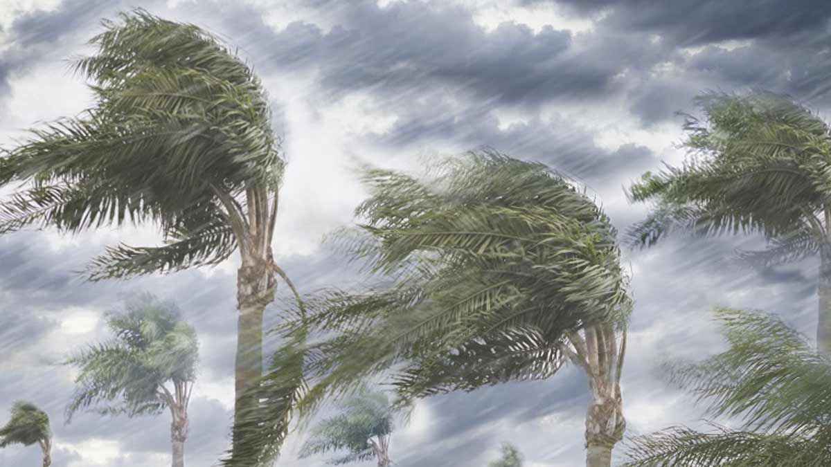 ঢাকাসহ ১৩ জেলায় ৬০ কিমি বেগে ঝড় ও বজ্রসহ বৃষ্টির পূর্বাভাস