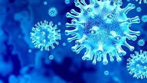 করোনায় ৩ জনের মৃত্যু, শনাক্ত ১৯