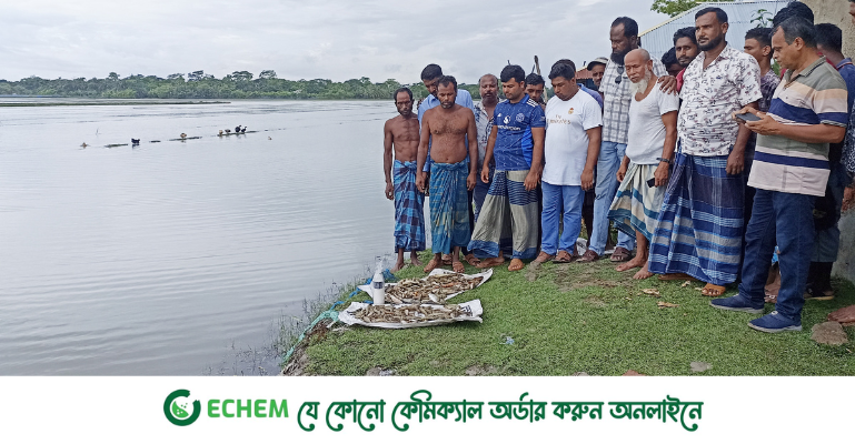 বাগেরহাটে মৎস্য ঘেরে বিষ প্রয়োগ ২০ লাখ টাকার ক্ষতি