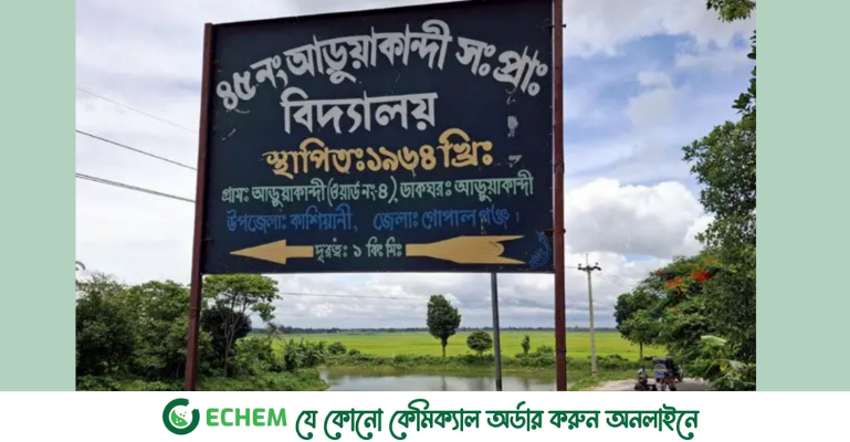 টেন্ডার ছাড়াই স্কুলের ঘর-মালামাল বিক্রি করলেন শিক্ষক ও কর্মকর্তা