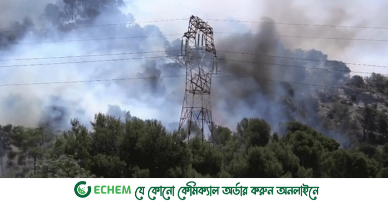 দাবানলের আগুনে জ্বলছে ইউরোপ, আহত অন্তত ১১০
