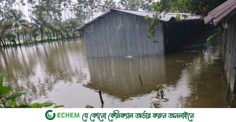 নোয়াখালীতে পানিবন্দি ৬৪ হাজার পরিবার, প্রস্তুত ৪৬৬টি আশ্রয়কেন্দ্র