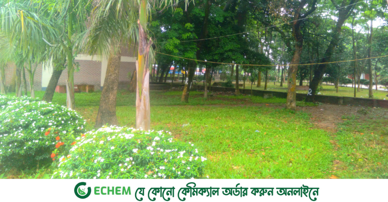 হাবিপ্রবির রিমা চত্বর: ঘটনাপ্রবাহ-নামকরণের ইতিহাস