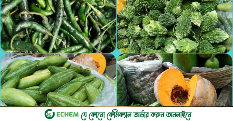 সবজির দাম ঊর্ধ্বমুখী, কাঁচা মরিচে আগুন