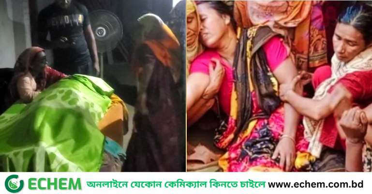 ফুলবাড়ীতে শাপলা ফুল তুলতে গিয়ে পানিতে ডুবে দুই শিক্ষার্থীর মৃত্যু
