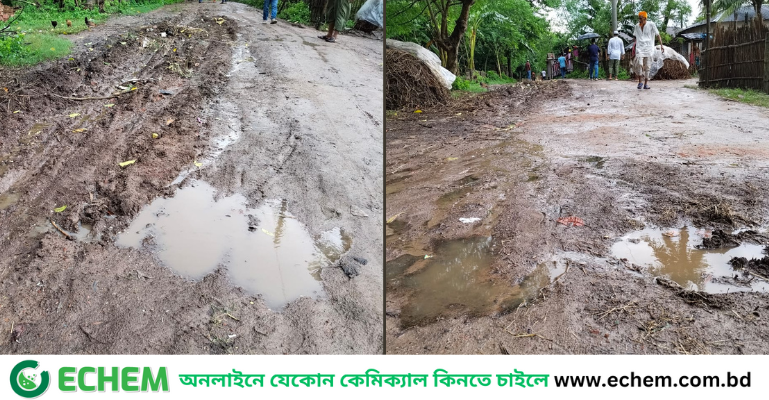লালপুরে প্রায় ৩ কিলোমিটার সড়কের বেহাল দশা, ভোগান্তি চরমে