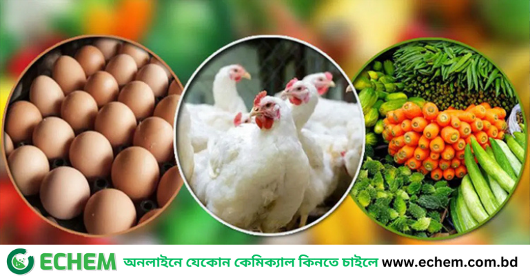 বৃষ্টিতে কমেছে সরবরাহ, বাজারে সবজি-ডিম-মুরগির দামে আগুন