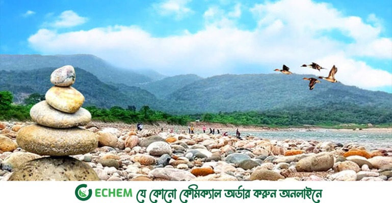এক পাড়ের ‘নিয়ন্ত্রক’ পদ হারালেও অন্যরা ধরাছোঁয়ার বাইরে