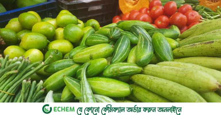 বেড়েছে চাল-ডিমের দাম, ৮০ টাকার নিচে কোনও সবজি নেই