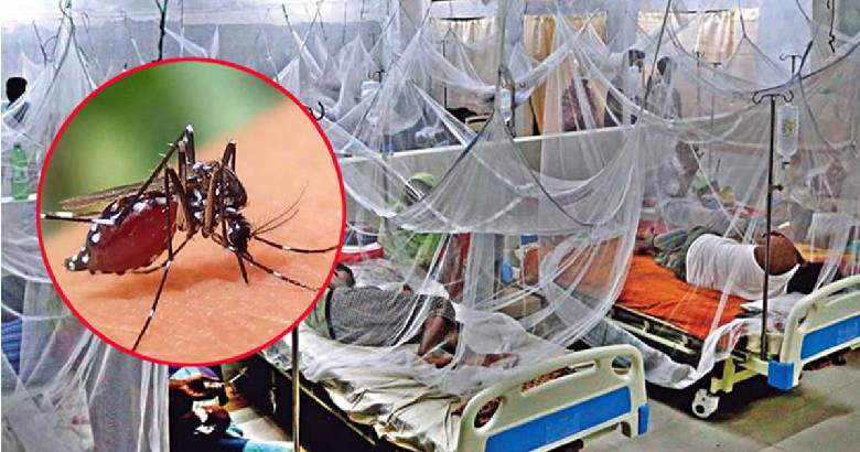 ডেঙ্গুতে একদিনে ৫ মৃত্যু, তিনজনই ঢাকায়