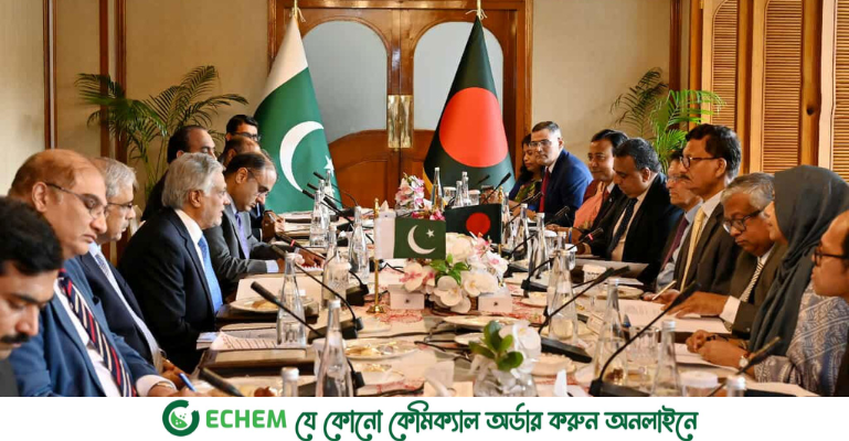 একাত্তরের অমীমাংসিত ইস্যুর দুইবার সমাধান হয়েছে: পাকিস্তানের উপপ্রধানমন্ত্রী