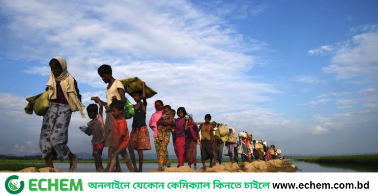 রোহিঙ্গা সংকট মোকাবিলায় বাংলাদেশের পাশে থাকবে যুক্তরাজ্য-ফ্রান্সসহ ১১ দেশ