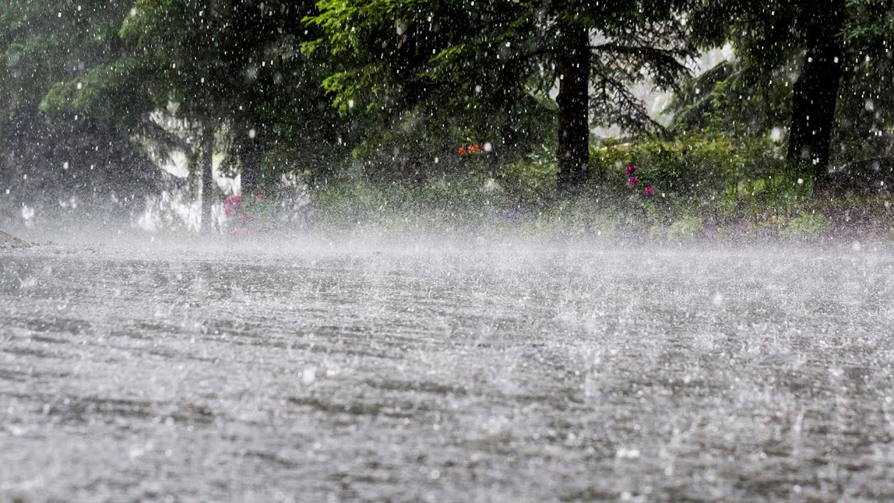 টানা ৫ দিন ভারী বৃষ্টির আভাস