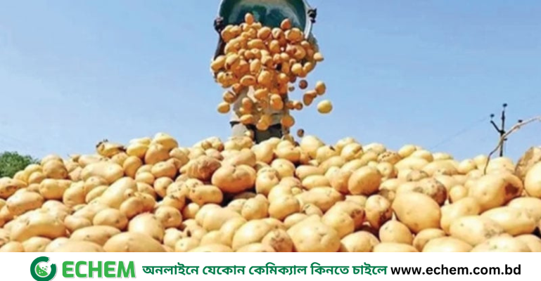 উত্তরাঞ্চলে বছরে আড়াই হাজার কোটি টাকার ফসল মাঠেই পচে