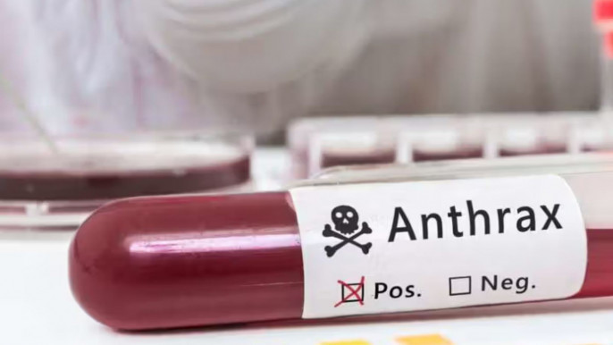 অ্যানথ্রাক্স: অসুস্থ গবাদিপশু জবাই না করার পরামর্শ বিশেষজ্ঞদের