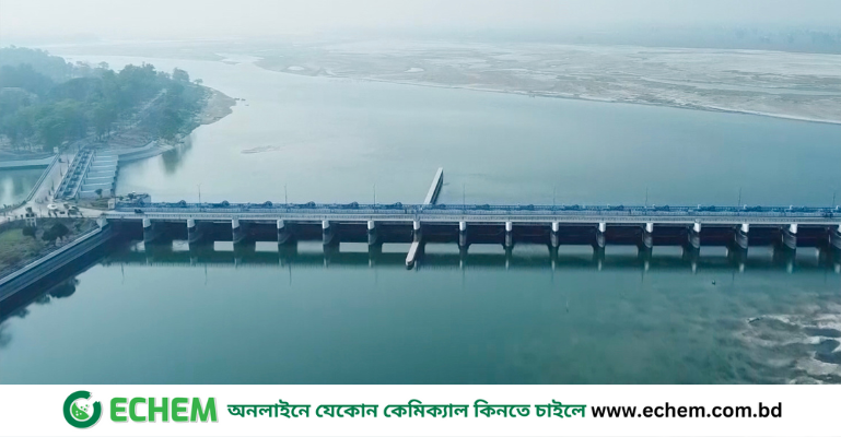 টানা বৃষ্টিতে বিপদসীমার উপরে তিস্তা নদীর পানি, আতঙ্কে তীরবর্তী মানুষ