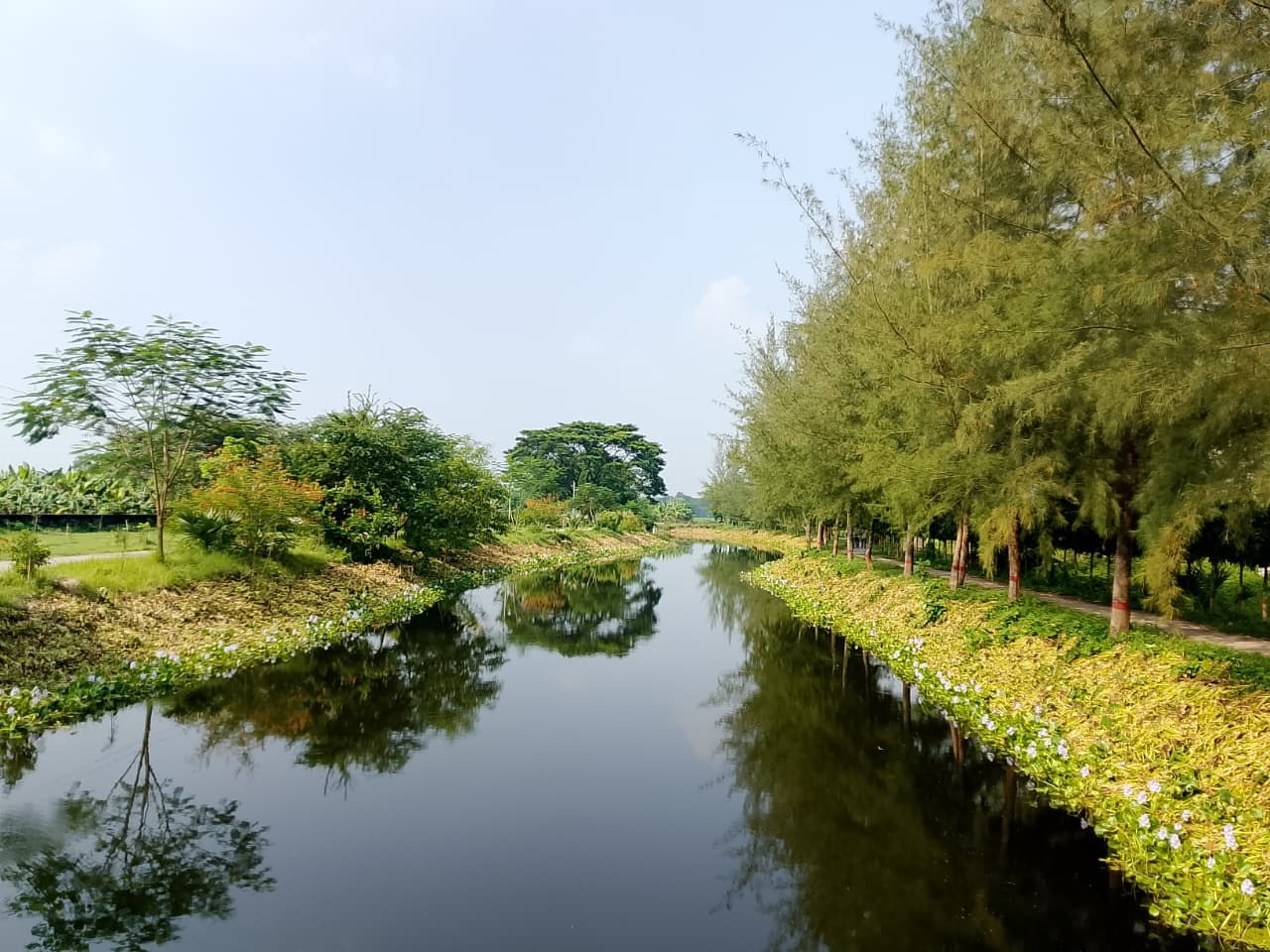 সময় জার্নালে খবর প্রকাশ, পরিষ্কার করা হলো ইবির মীর মুগ্ধ সরোবর