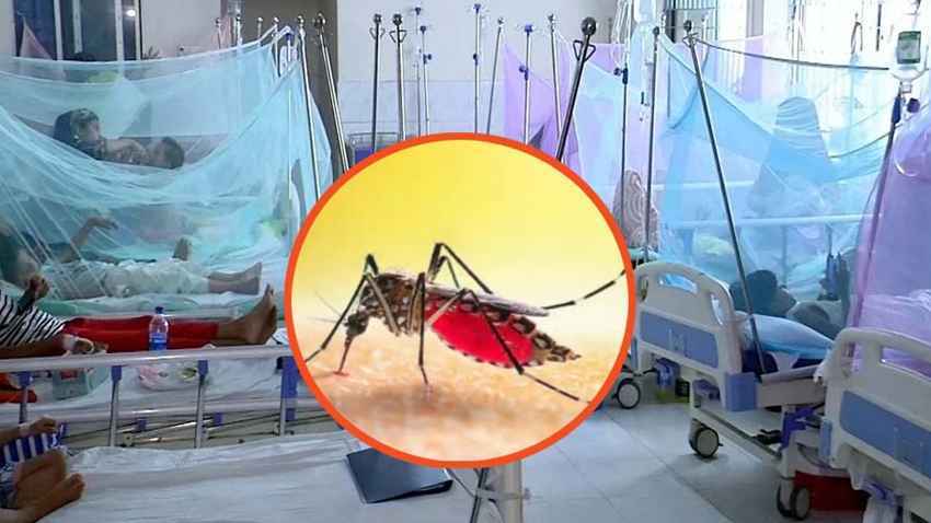 ডেঙ্গুতে মৃতের সংখ্যা আড়াই শ’ ছাড়াল