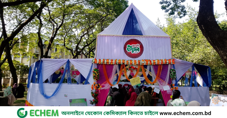 ইবি ছাত্রীসংস্থার দুদিন ব্যাপী মেহেদী উৎসব