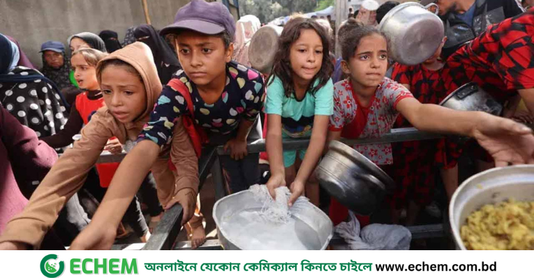 যুদ্ধবিরতির পরও গাজায় ভয়াবহ ক্ষুধা সংকট চলছে: ডব্লিউএইচও