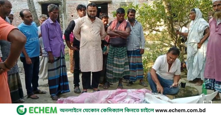 ফরিদপুরের বোয়ালমারীতে ট্রাক-ভ্যান মুখোমুখি সংঘর্ষে প্রাণ গেল ২ জনের, আহত ৫