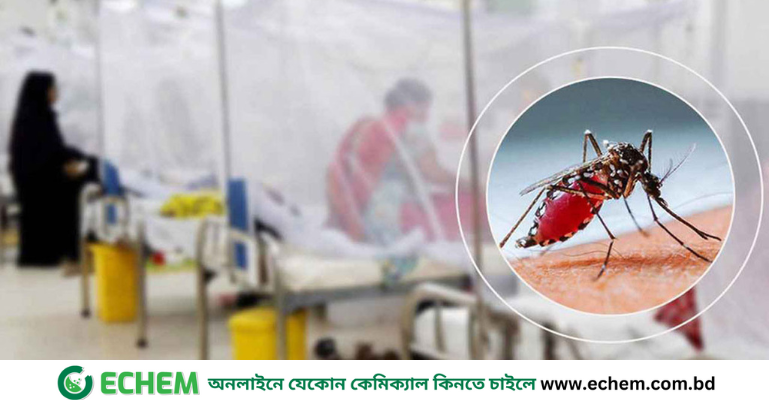 ডেঙ্গুতে একদিনে ৬ মৃত্যু, হাসপাতালে ভর্তি ৯৮৩