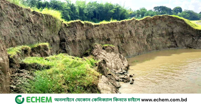 ফরিদপুরের চরভদ্রাসনে পদ্মার ভাঙ্গনে ৩০মিটার জিওব্যাগের বাঁধ বিলীন