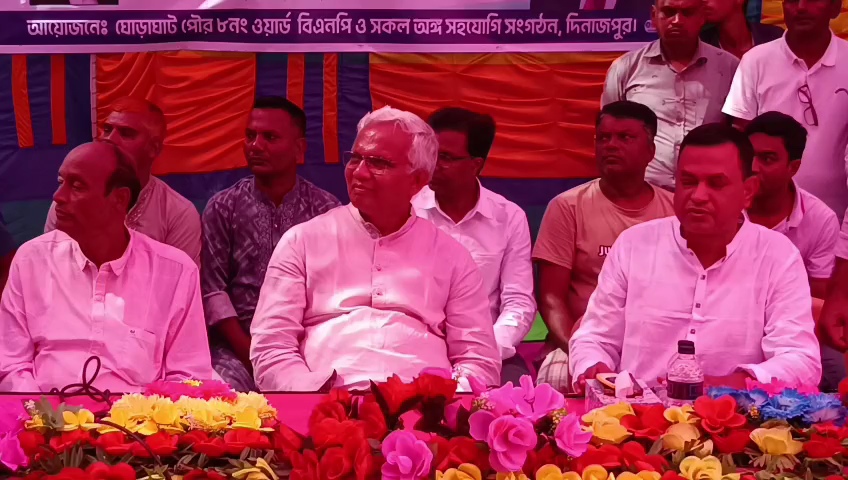 একটি পক্ষ শাক দিয়ে মাছ ঢাকার চেষ্টা করছে: এম জাহিদ