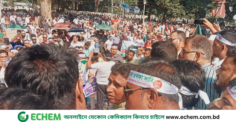 স্বরাষ্ট্র ও শিক্ষা উপদেষ্টার পদত্যাগ দাবি প্রাথমিক শিক্ষকদের