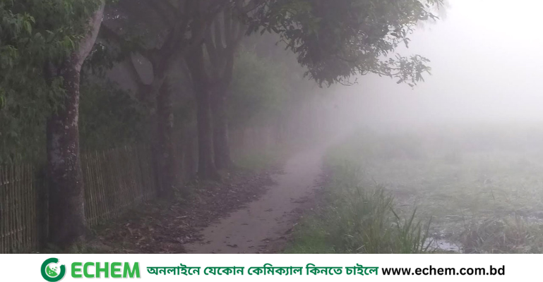 পঞ্চগড়ে শীতের আগমনী হাওয়া, তাপমাত্রা নামল ১৪ ডিগ্রিতে