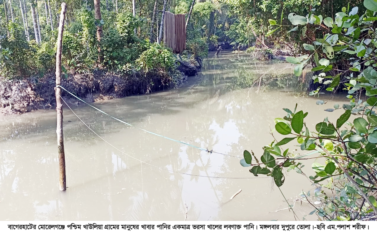 মোরেলগঞ্জে ৫১টি পরিবার সুপেয় পানির অভাবে ভুগছেন পেটের পীড়াসহ পানিবাহিত রোগে