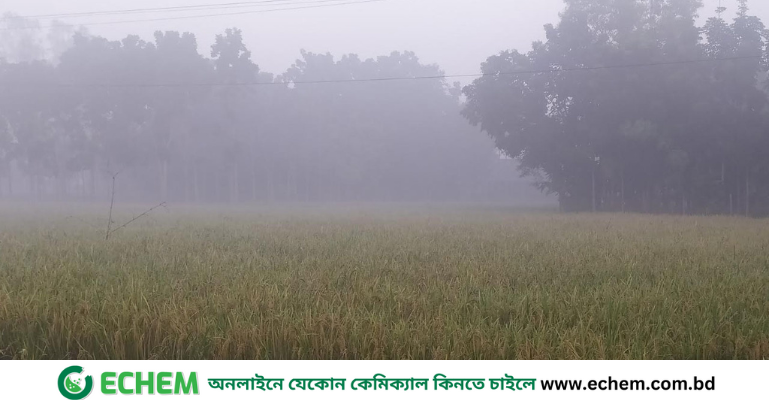 পঞ্চগড়ের তাপমাত্রা নামল ১২ ডিগ্রিতে