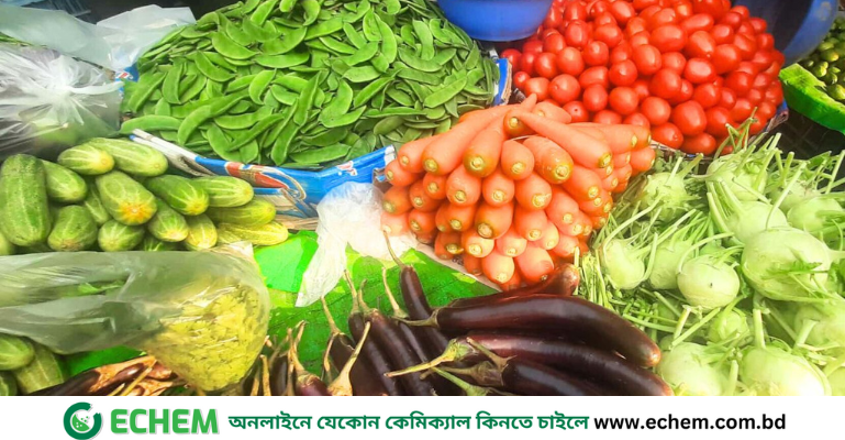 বাজারে ভরপুর শীতের সবজি, তবুও কমেছে না দাম