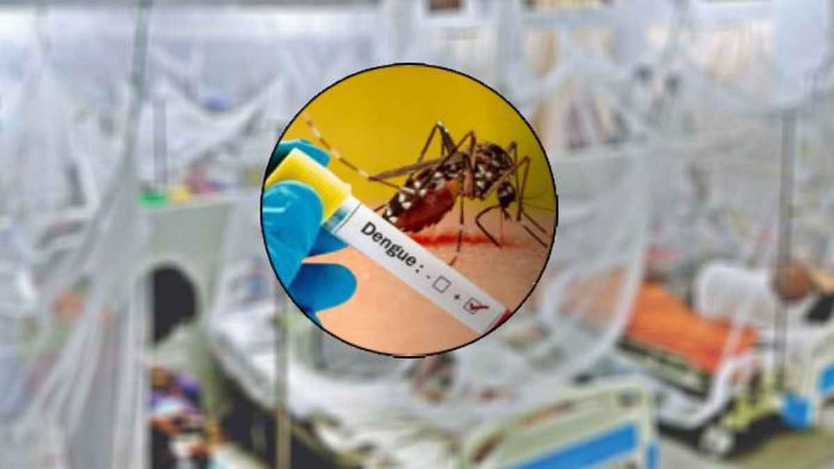ডেঙ্গু কাড়লো আরও ৫ প্রাণ, হাসপাতালে ৪৯০