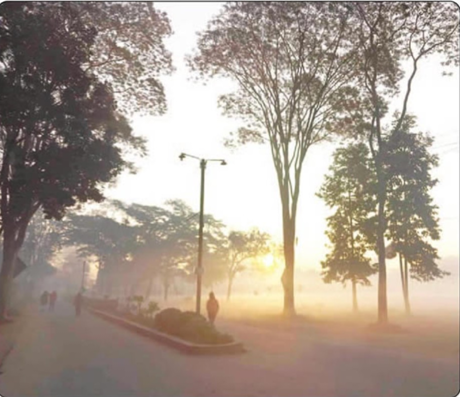 শীতের রূপে সেজে উঠেছে জাহাঙ্গীরনগর বিশ্ববিদ্যালয়