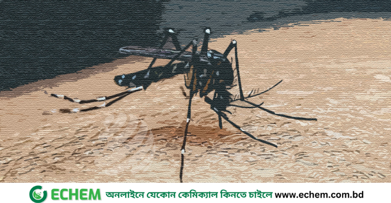 ডেঙ্গুতে আরও ৩ জনের মৃত্যু, হাসপাতালে ভর্তি ৫৬৫