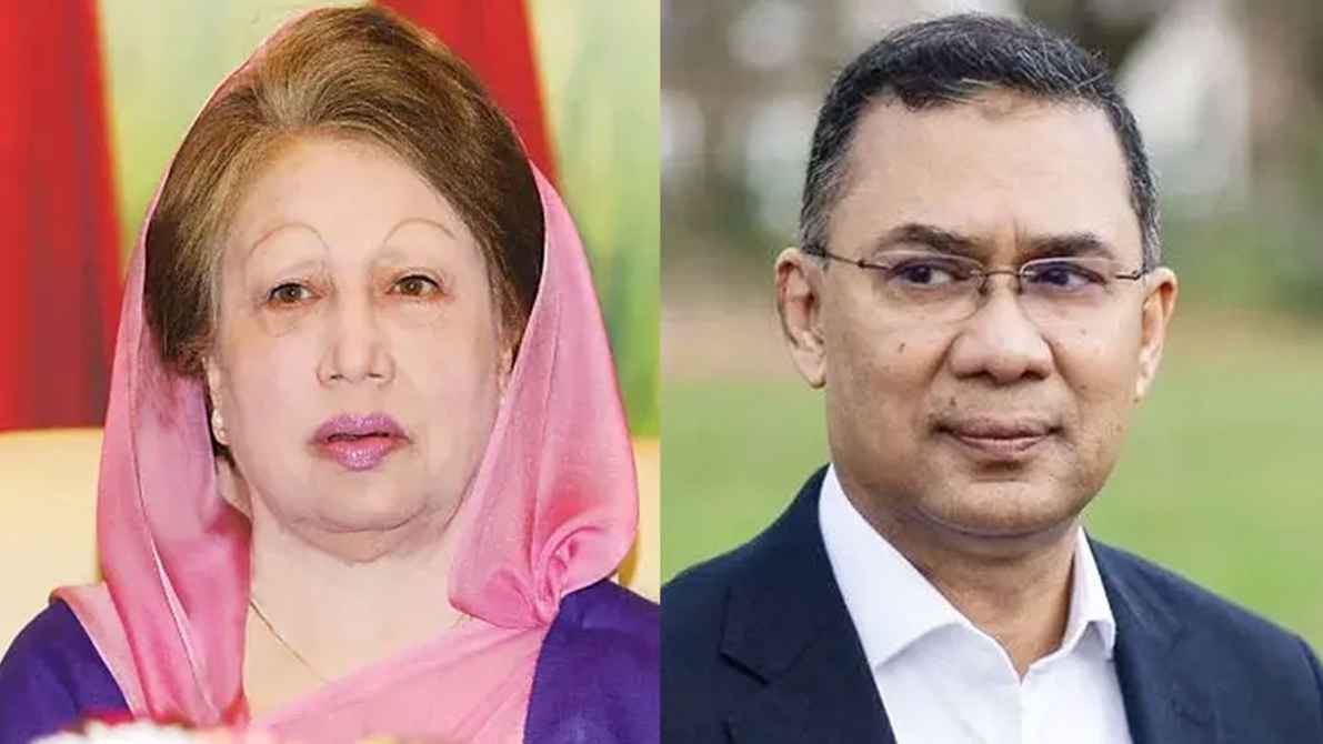 খালেদা জিয়া ও তারেক রহমানের পক্ষে মনোনয়নপত্র সংগ্রহ