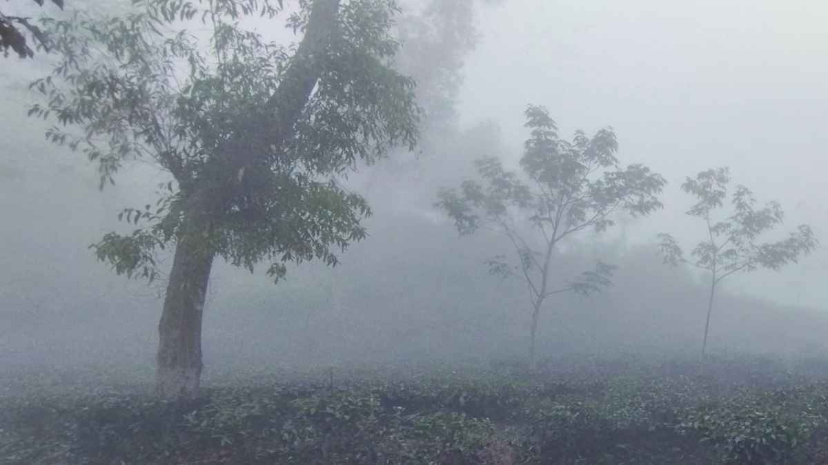 হাড় হিম করা ঠান্ডায় কাঁপছে দেশ, শৈত্যপ্রবাহ ২৪ জেলায়