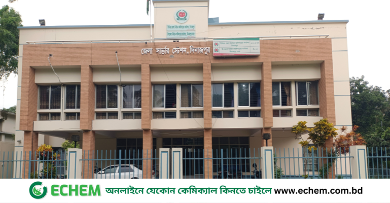 দিনাজপুরে পোস্টাল ব্যালটে ভোট দেবেন ২২ হাজার ৩৪৯ জন ভোটার