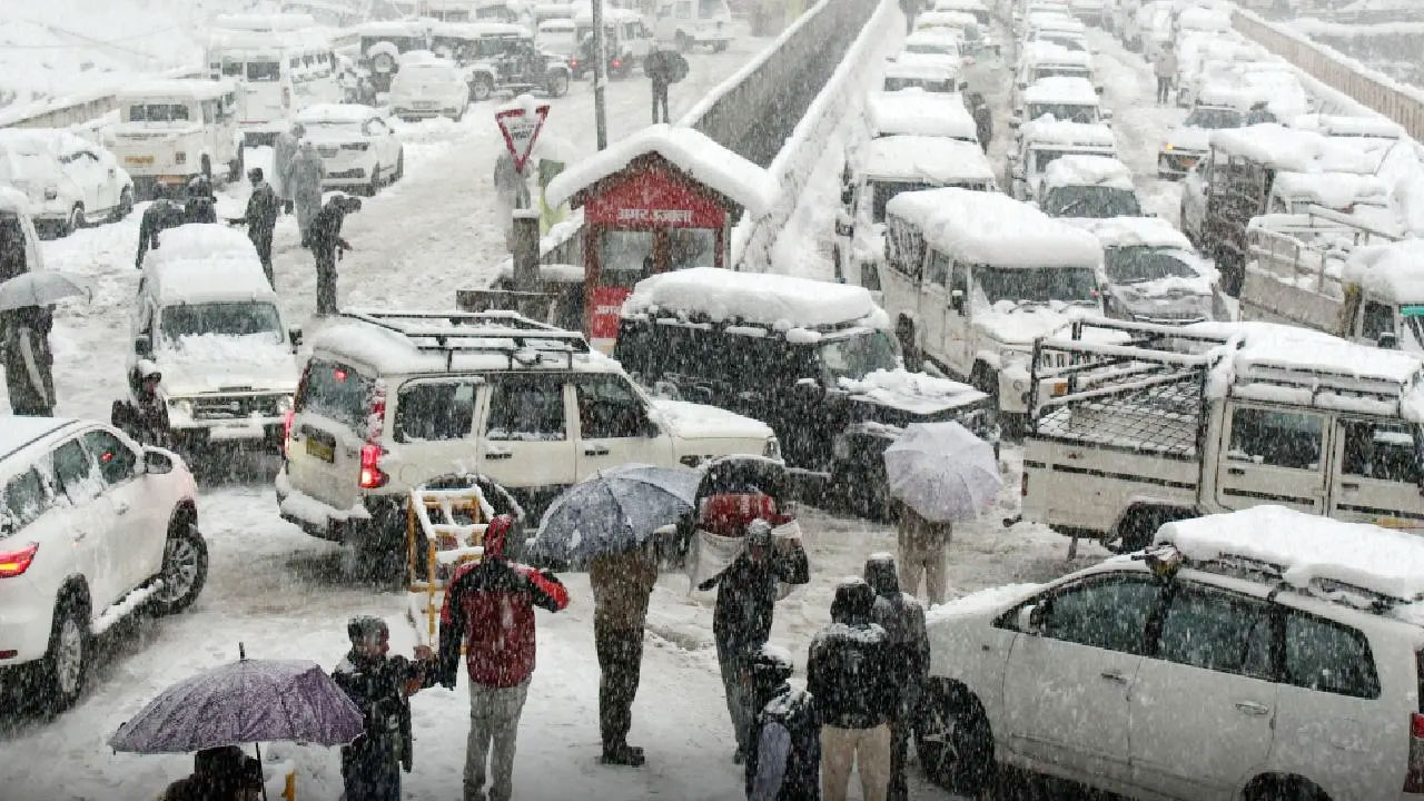 তুষারপাতে বিপর্যস্ত হিমাচল : বন্ধ ৭০০ রাস্তা, রাতভর গাড়িবন্দি পর্যটকরা