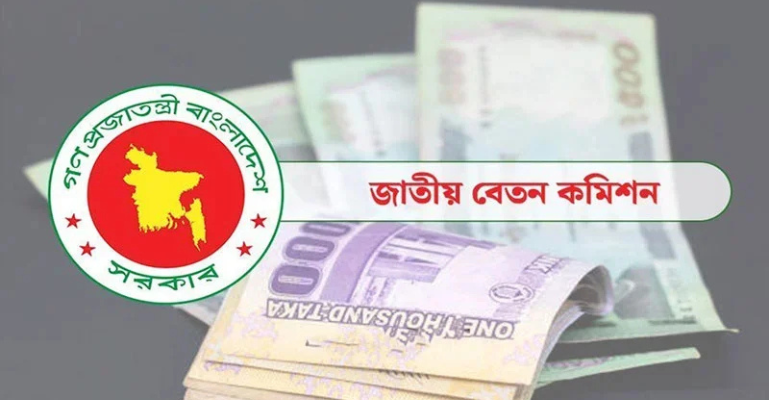 নতুন পে-স্কেল বাস্তবায়ন করছে না অন্তর্বর্তী সরকার: বিদ্যুৎ উপদেষ্টা