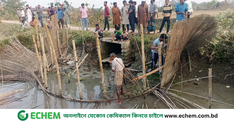 মোরেলগঞ্জে দখলকৃত সরকারি খালের বাঁধ কেটে দিলেন গ্রামবাসী