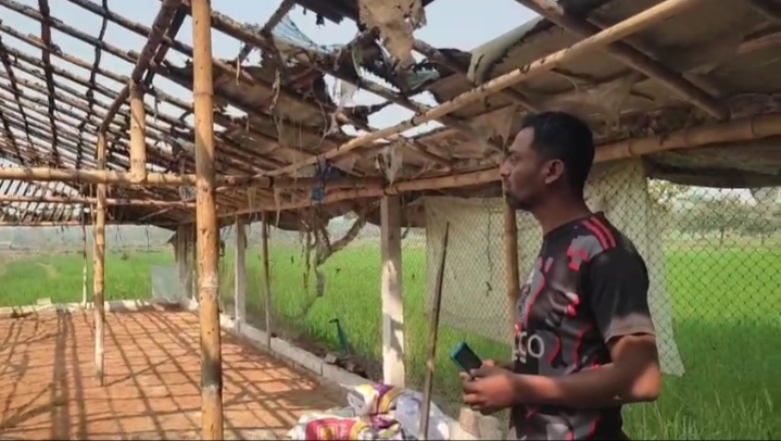 সাতক্ষীরায় ফার্মে অগ্নিকান্ডে পুড়ে মারা গেছে ৬শ’মুরগি, পাঁচ লক্ষাধিক টাকার ক্ষতি