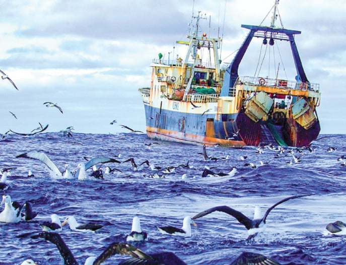 ভৌগোলিক আশীর্বাদ নাকি অভিশাপ: কেন বারবার লুণ্ঠিত হয়েছে আমাদের বাংলা?
