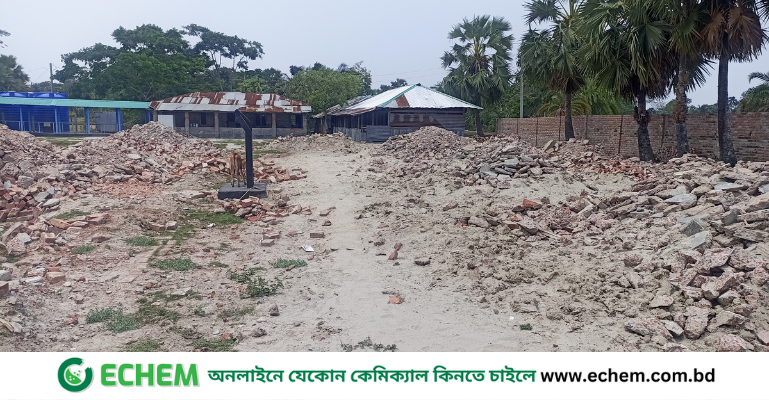 মোরেলগঞ্জ নিয়মের তোয়াক্কা না করে বিদ্যালয়ের পুরাতন ভবন অপসারণ, গাছ কর্তন
