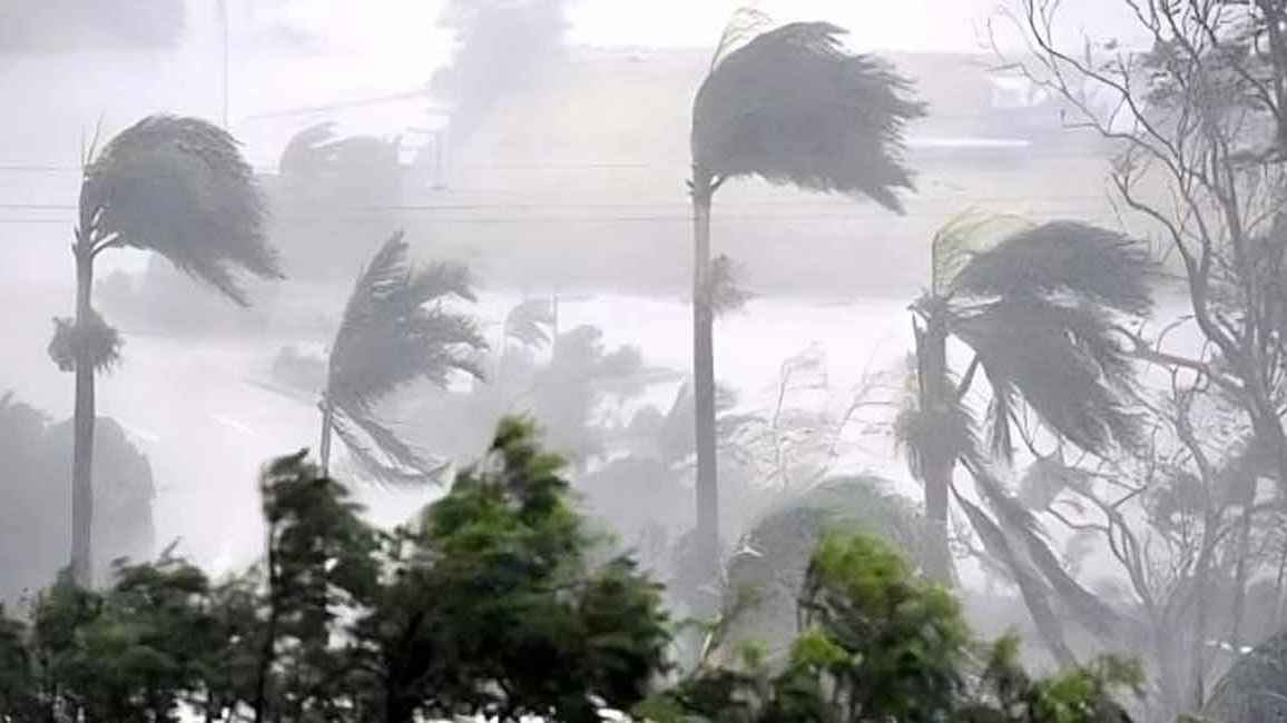 জামালপুরে ঝড়ে গাছের নিচে চাপা পড়ে মা ও ২ মেয়ে নিহত