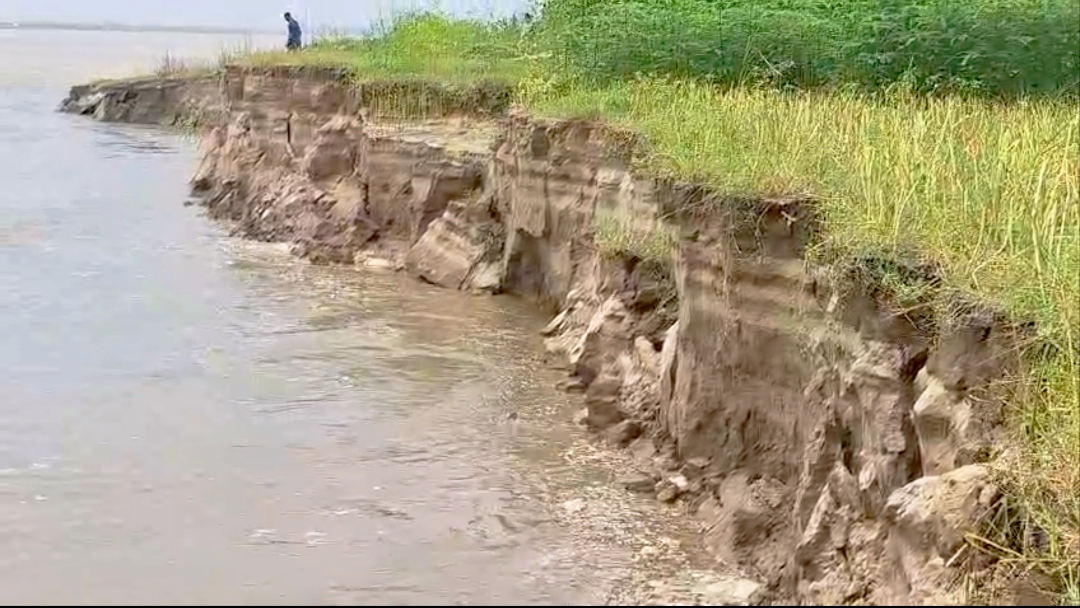 বর্ষার শুরুতেই ফরিদপুরে পদ্মার তীব্র ভাঙন: বিলীন শত শত ঘরবাড়ি, আতঙ্কে নদীপাড়ের মানুষ