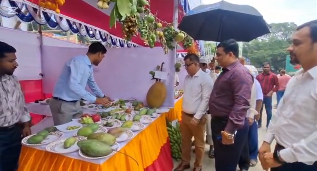ফরিদপুরে শুরু হয়েছে তিন দিন ব্যাপী ফল মেলা